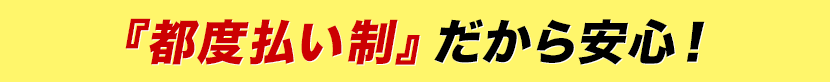 『都度払い制』だから安心!